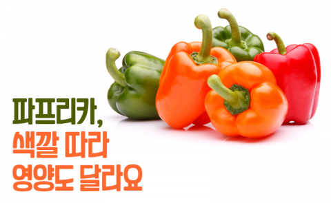 파프리카, 색깔 따라 영양도 달라요