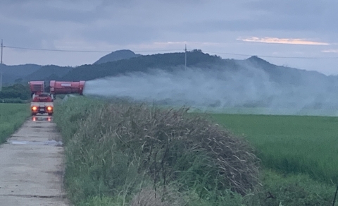 나주시, 침수 벼 ‘병해충 방제’ 안간힘···2차 피해 막는다