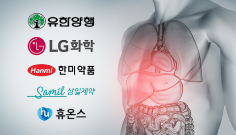 30조 新시장 지방간염 치료제...유한·한미·삼일 각축전