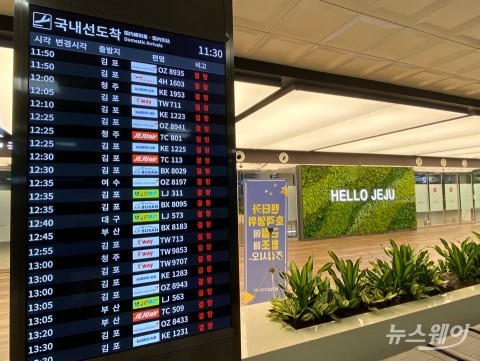 제주, 이틀째 강풍 동반한 눈보라···항공기 운항 차질 예상