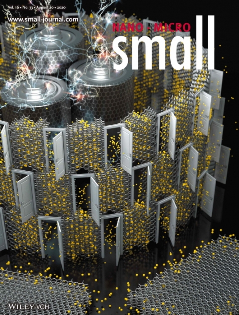 인하대 양승재 교수 연구팀, 저온 흑연화 공정 통한 나노탄소전극 개발