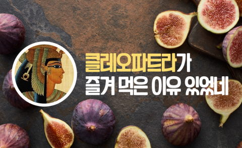 클레오파트라가 즐겨 먹은 이유 있었네