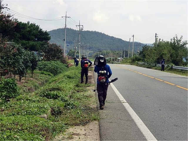 장흥군 용산면, 추석맞이 ‘도로변 풀베기’ 추진