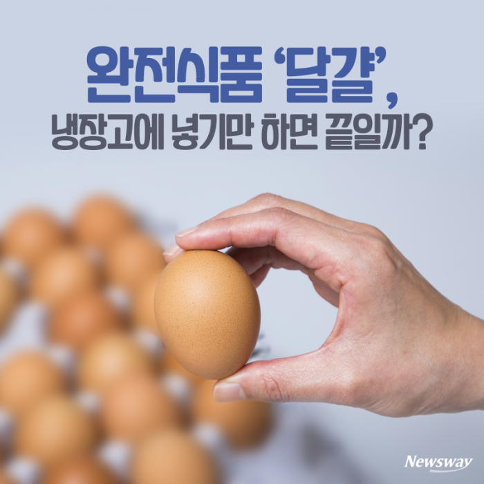 완전식품 ‘달걀’, 냉장고에 넣기만 하면 끝일까? 기사의 사진