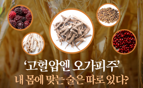 고혈압엔 오가피주···내 몸에 맞는 술은 따로 있다?