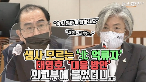 생사도 모르는 ‘北 억류자’···태영호, ‘대응방안’ 외교부에 물었더니?