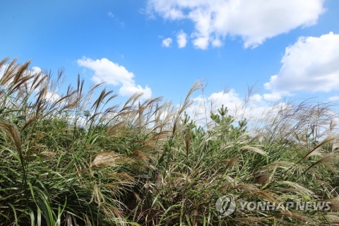 한로(寒露), 전국 대체로 맑음···일교차 최대15도 ‘건강 유의’