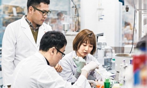 제약·바이오업계, 스핀오프로 신약개발 역할분담