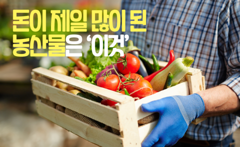 돈이 제일 많이 된 농산물은 ‘이것’