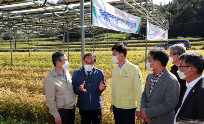 김철우 보성군수, 영농형 태양광 벼 재배기술 현장 찾아 기사의 사진