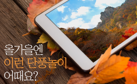 올가을엔 이런 단풍놀이 어때요?