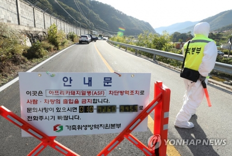 강원 화천서 아프리카돼지열병 추가로 또 나왔다