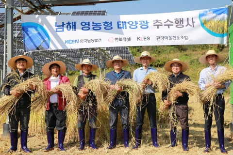 한화큐셀, 경남 남해 영농형 태양광 시범단지서 벼 추수