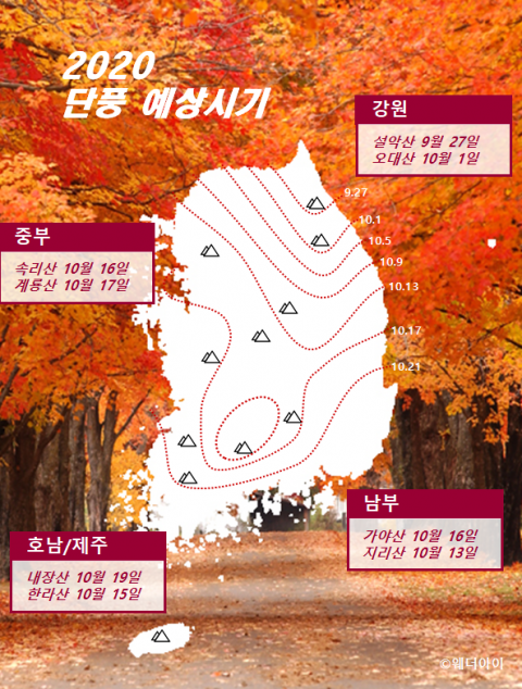 올해 전국 단풍 시기 언제일까···평년보다 조금 느릴 듯