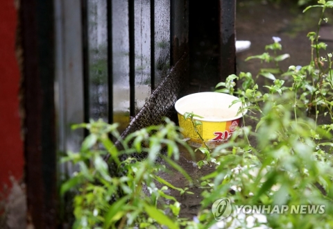 ‘인천 화재 형제’ 동생, 끝내 숨져···사고 한 달만