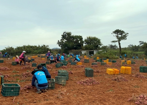 농어촌공사, 수확기 농가에 일손 보탠다