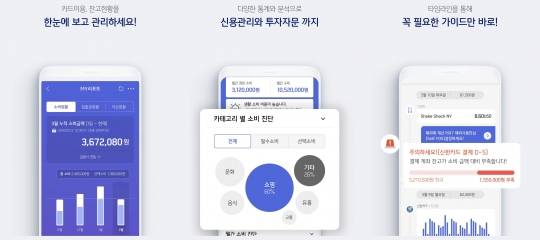 신한카드의 종합자산관리 서비스 ‘신한 마이리포트’ 이용 화면. 사진=신한카드