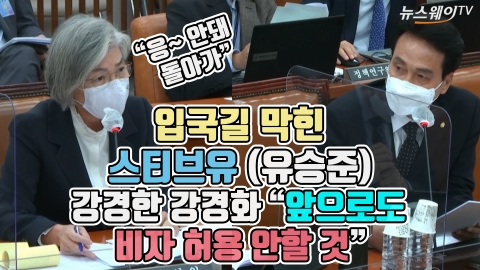 입국길 막힌 스티브유(유승준), 강경한 강경화 “앞으로도 비자 허용 안할 것”
