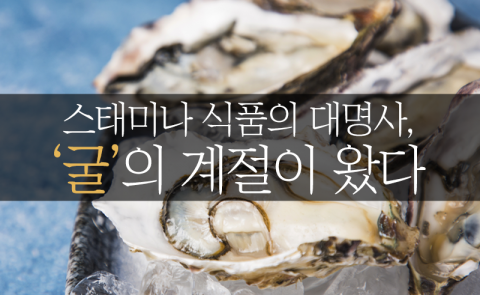 스태미나 식품의 대명사, ‘굴’의 계절이 왔다
