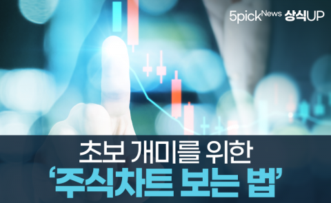 초보 개미를 위한 ‘주식차트 보는 법’