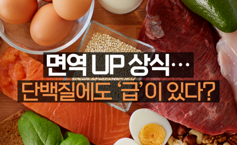 면역 UP 상식···단백질에도 ‘급’이 있다?