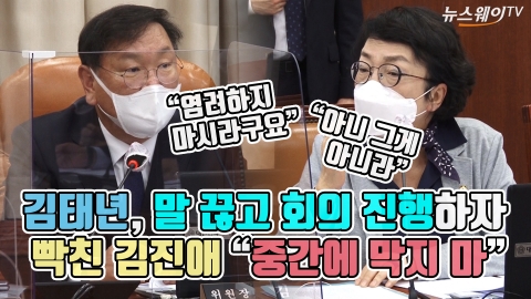 김태년, 말 끊고 회의 진행하자 빡친 김진애 “중간에 막지 마”