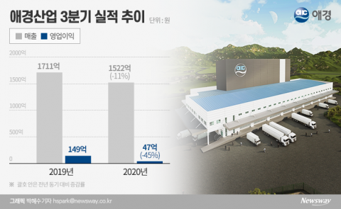 ‘수익성 확보’ 시급한 애경···물류센터로 ‘온라인 경쟁력’ 승기 잡을까