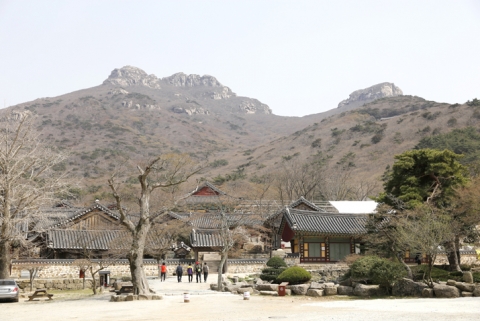 전남도 “‘깊어가는 가을’ 아름다운 사찰서 힐링하세요”