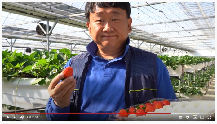 장성군이 올린 딸기농장 홍보 동영상이 누리꾼들로부터 압도적인 인기를 얻었다. 농업인 이장호 씨