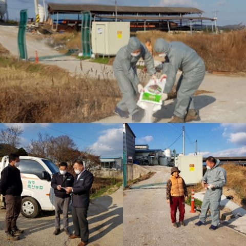 농협광주본부 “전북 고병원성 AI 발생”···차단방역 강화