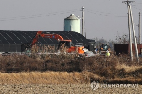 전국서 조류인플루엔자 항원 12건 검출···고병원성 여부 확인 중