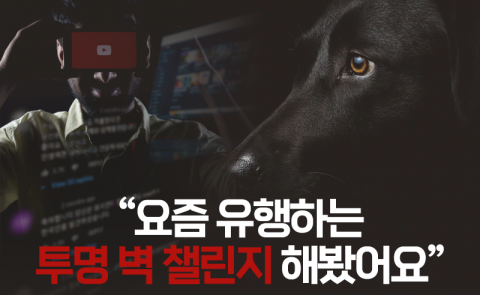 “우리집 ○○○도 요즘 유행하는 투명 벽 챌린지 해봤어요”