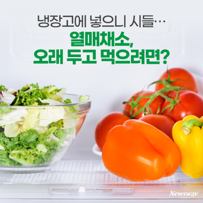 냉장고에 넣으니 시들···열매채소, 오래 두고 먹으려면? 기사의 사진