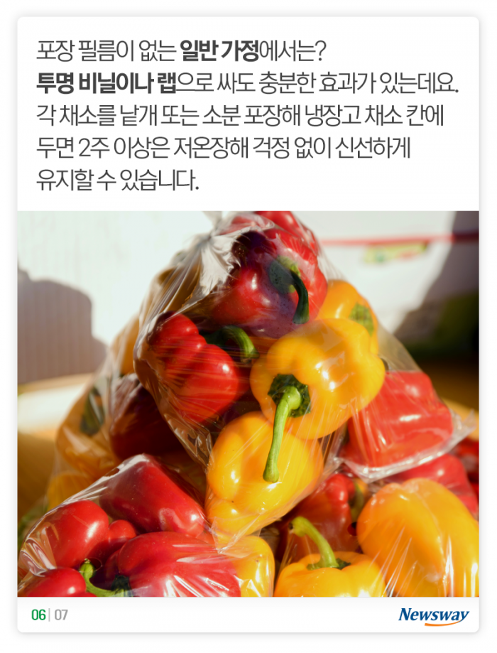 냉장고에 넣으니 시들···열매채소, 오래 두고 먹으려면? 기사의 사진