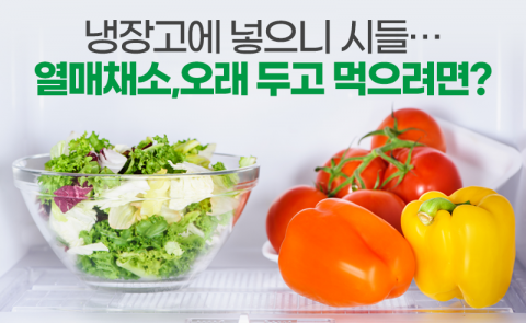 냉장고에 넣으니 시들···열매채소, 오래 두고 먹으려면?