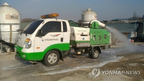 경기 화성 산란계 농장에서 고병원성 AI 의심사례 발생