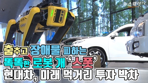춤추고 장애물 피하는 똑똑한 로봇 개 ‘스폿’···현대차, 미래 먹거리 투자 박차