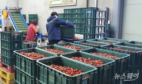 전남농협, 2020년 생산자조직 연도대상 본상 수상