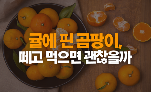 귤에 핀 곰팡이, 떼고 먹으면 괜찮을까