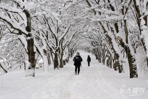 정읍 내장산 가는 길 ‘설경’···한폭의 그림 연출