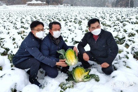 전남농협, 동절기 작물 작황 및 수급을 위한 현장점검