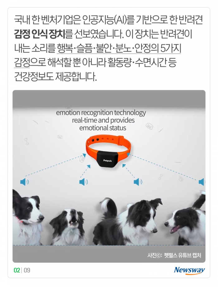 “멍멍” 개 짖는 소리, 이게 해석이 된다고? 기사의 사진