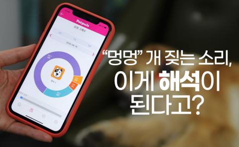“멍멍” 개 짖는 소리, 이게 해석이 된다고?