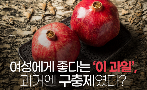 여성에게 좋다는 ‘이 과일’, 과거엔 구충제였다?
