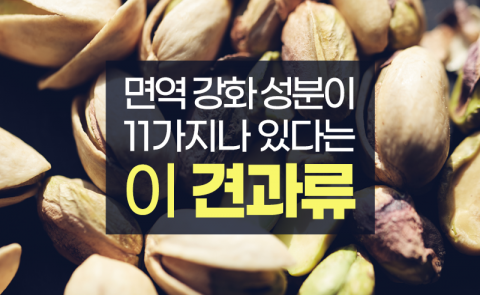 면역 강화 성분이 11가지나 있다는 이 견과류