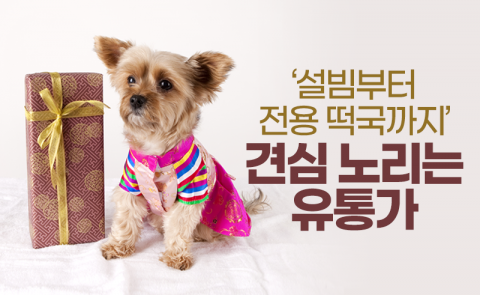 ‘설빔부터 전용 떡국까지’ 견심 노리는 유통가