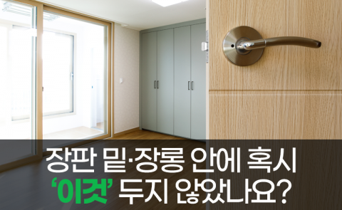 장판 밑·장롱 안에 혹시 ‘이것’ 두지 않았나요?