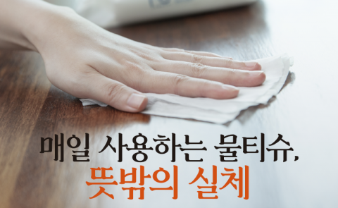 매일 사용하는 물티슈, 뜻밖의 실체