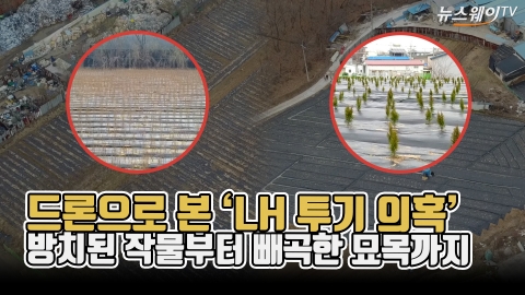 드론으로 본 ‘LH 투기 의혹’···방치된 작물부터 빼곡한 묘목까지