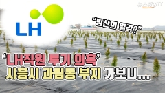 [뉴스웨이TV]‘LH직원 투기 의혹’ 시흥시 과림동 부지 가보니...